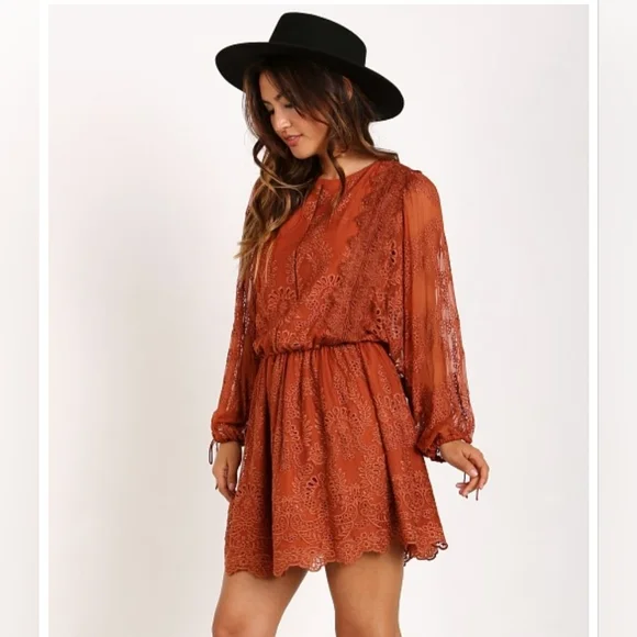 Zimmermann Alchemy Twine Embroidery Copper Dress Size 1 US 4-6 - Picture 2 of 15